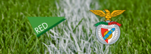 RED renova contrato de manutenção dos relvados naturais do SL Benfica